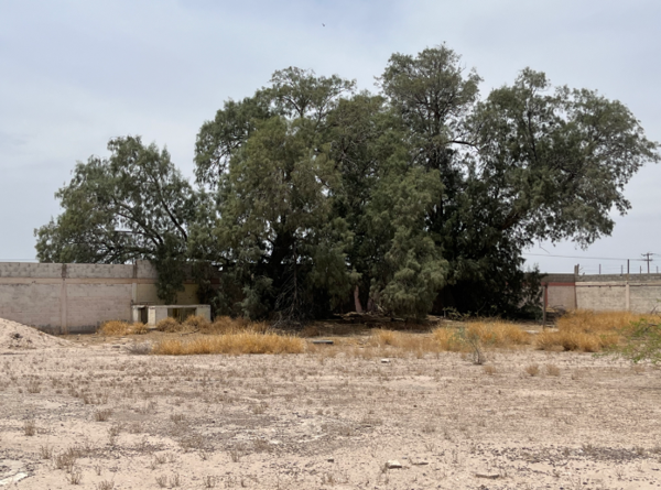 Terreno en venta en El Cambio, Matamoros — foto 2 de 4