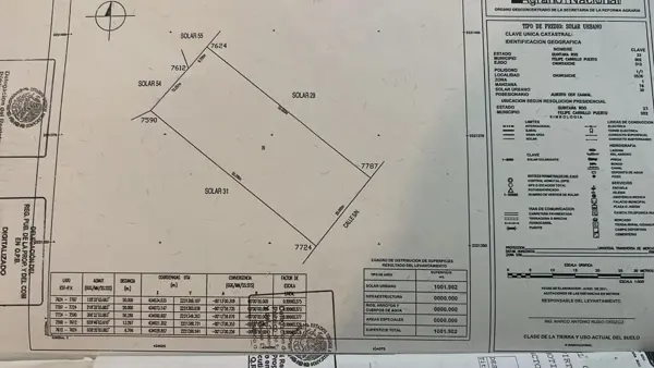 Terreno en venta en Chunyaxché, Felipe Carrillo Puerto — foto 3 de 5