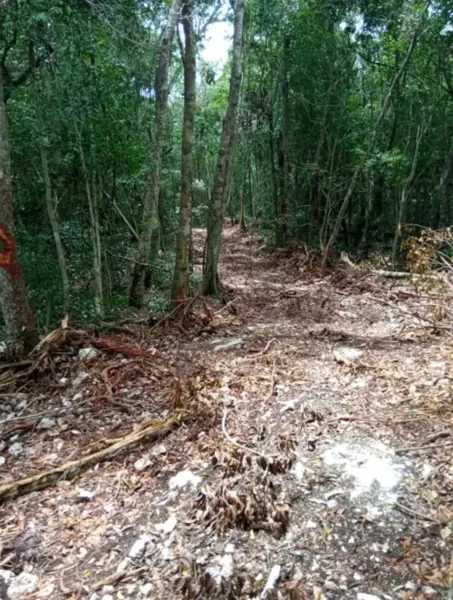 Terreno en venta en Chunyaxché, Felipe Carrillo Puerto — foto 2 de 5