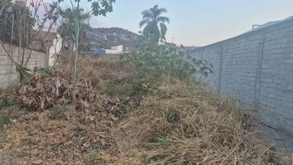 Terreno en venta en Las Fincas, Jiutepec — foto 2 de 4