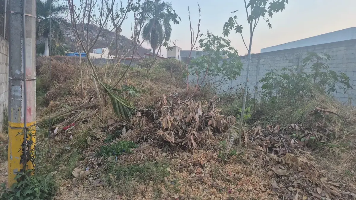Terreno en venta en Las Fincas, Jiutepec — foto 1 de 4