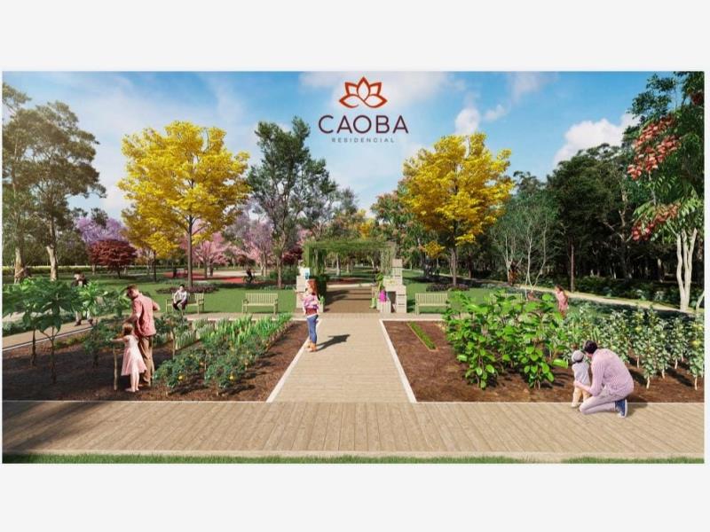 Terreno en venta en Centro Hunucmá, Hunucmá — foto 1 de 15