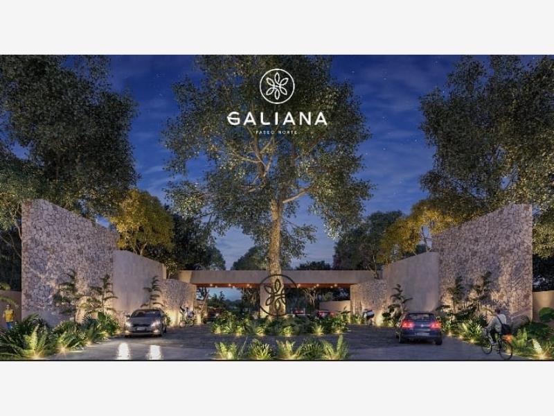 Terreno en venta en Santa Gertrudis Copo, Mérida — foto 1 de 24