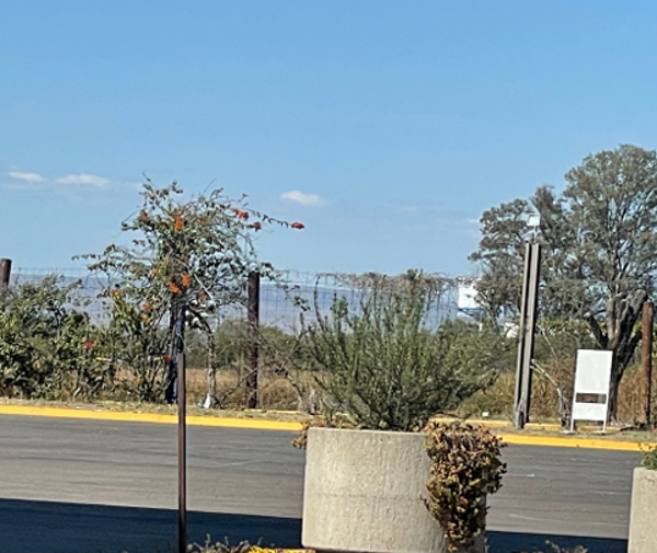 Terreno en renta en Central de Abastos, Aguascalientes — foto 2 de 10