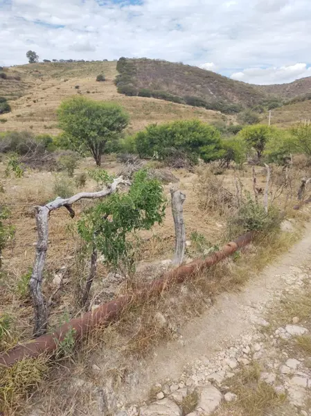 Terreno en venta en Colomos, Calvillo — foto 2 de 10