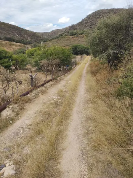 Terreno en venta Colomos Calvillo Aguascalientes (SE)