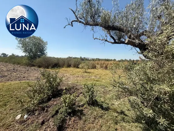 Terreno en venta en San Pedrito Alpuyeca, Tula de Allende — foto 2 de 3