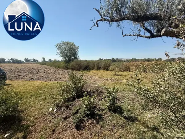 Terreno en venta en San Pedrito Alpuyeca, Tula de Allende — foto 3 de 3