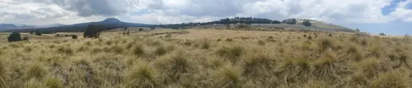 Venta de Rancho de 10 Hectáreas en el Ajusco, Tlalpan, Ciudad de México