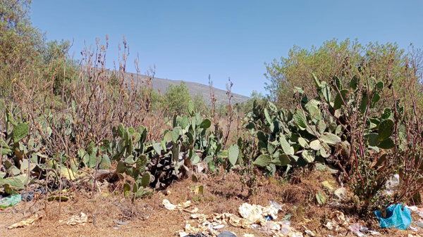 Terreno en venta en San Martín de las Pirámides Centro, San Martín de las Pirámides — foto 3 de 7