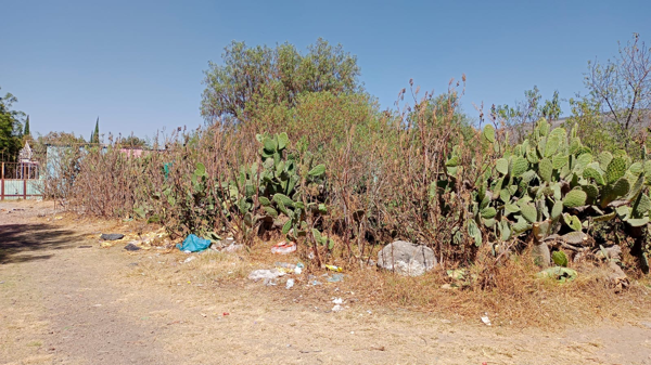 Terreno en venta en San Martín de las Pirámides Centro, San Martín de las Pirámides — foto 2 de 7