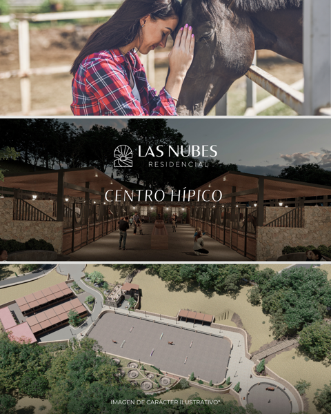 Terreno en venta en Santa María Regla, Huasca de Ocampo — foto 3 de 13