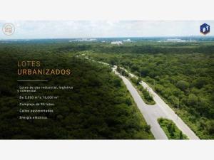 Terreno en venta en Tixcacal, Mérida — foto 2 de 16