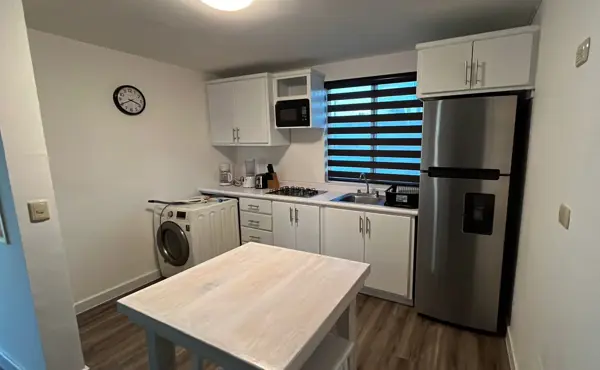 DEPARTAMENTO AMUEBLADO EN RENTA COL LATINO