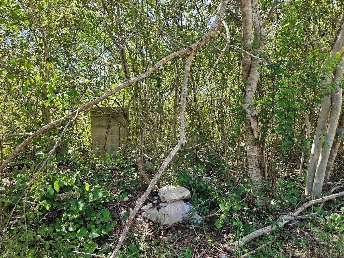 Terreno en venta en Chablekal, Mérida — foto 1 de 5