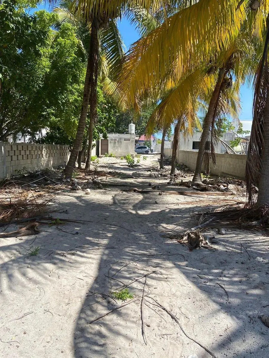 Terreno en renta en Chelem, Progreso — foto 1 de 9