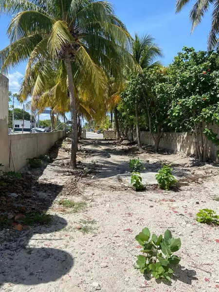 Terreno en renta en Chelem, Progreso — foto 2 de 9