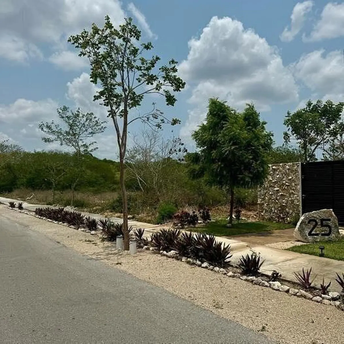 Terreno en venta en Dzidzilche, Mérida — foto 1 de 12