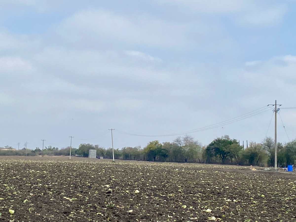 Finca-Rancho en venta en San Rafael, Cadereyta Jiménez — foto 1 de 9