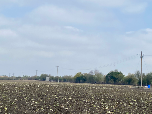 Rancho Venta Cadereyta (zona Camino a San Rafael)