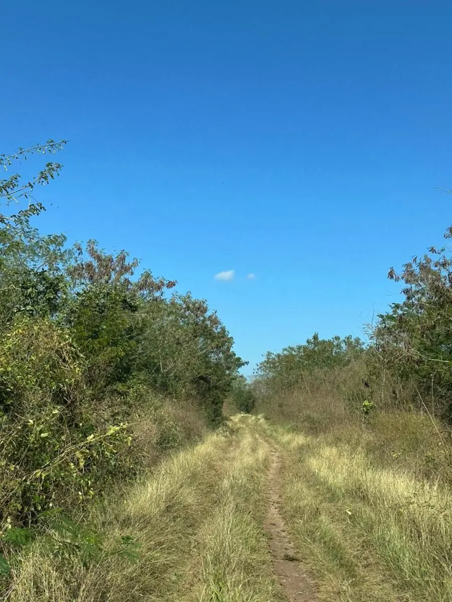 Terreno en venta en Motul de Carrillo Puerto Centro, Motul — foto 1 de 6
