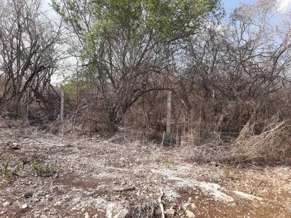 Terreno en venta en Ejido de Chuburna, Mérida — foto 3 de 10