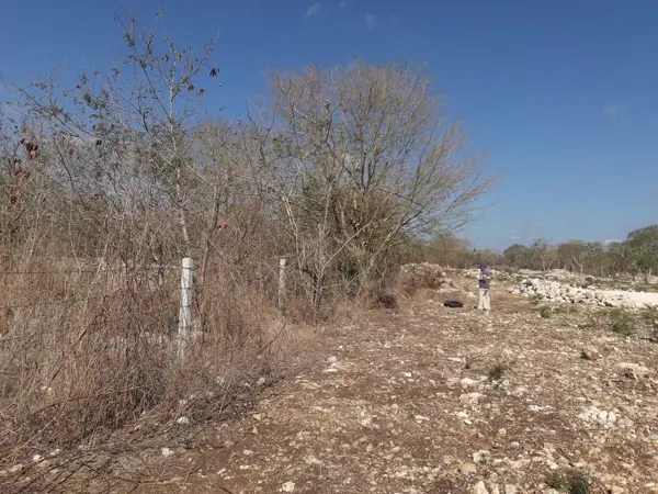 Terreno en venta en Ejido de Chuburna, Mérida — foto 2 de 10