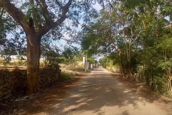 Terreno en venta en Chichi Suarez, Mérida — foto 3 de 6