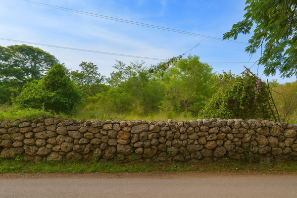 Terreno en venta en Chichi Suarez, Mérida — foto 2 de 6