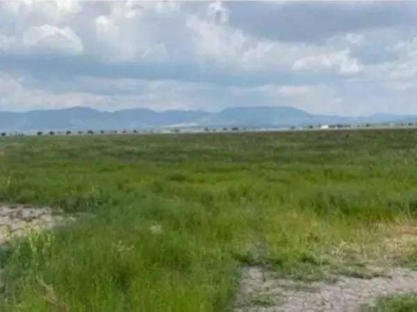 Terreno en venta en Tolcayuca Centro, Tolcayuca — foto 3 de 4