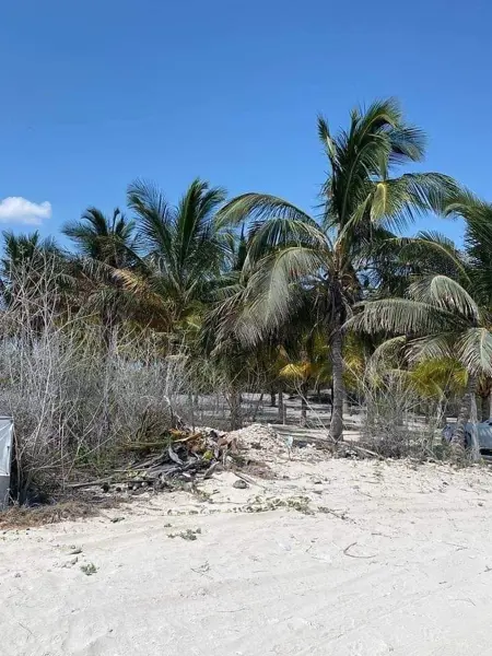 Terreno en venta en San Benito, Dzemul — foto 3 de 8