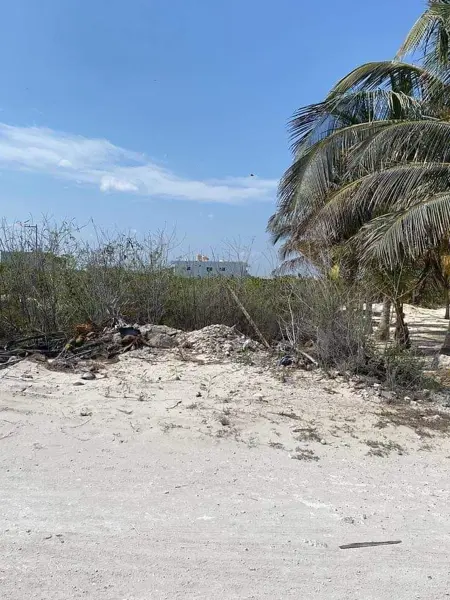 Terreno en venta en San Benito, Dzemul — foto 2 de 8
