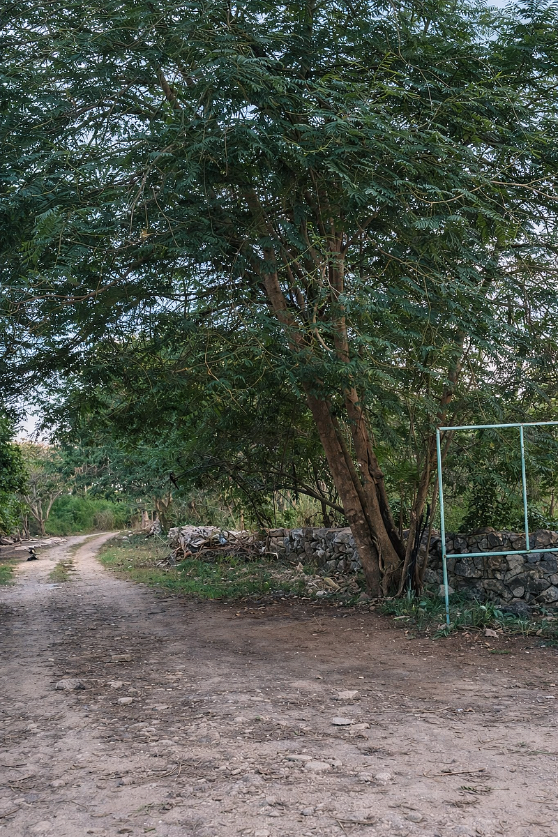 Terreno en venta en Conkal, Conkal — foto 1 de 7
