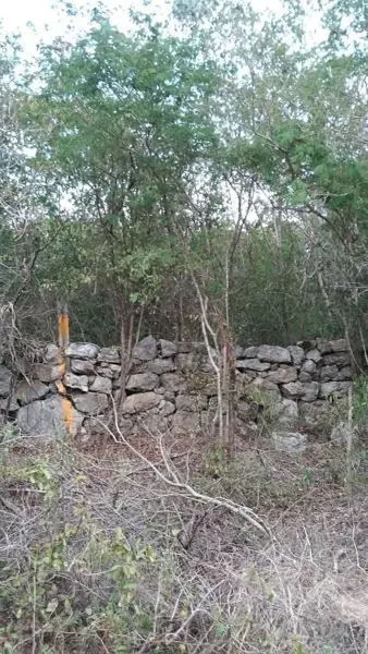 Terreno en venta en Conkal, Conkal — foto 3 de 7