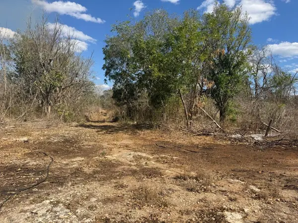 Terreno en venta en Centro Umán, Umán — foto 3 de 13