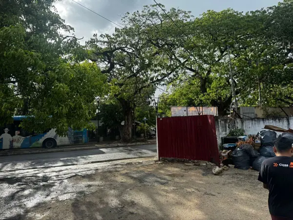 Terreno en venta en Merida Centro, Mérida — foto 3 de 19