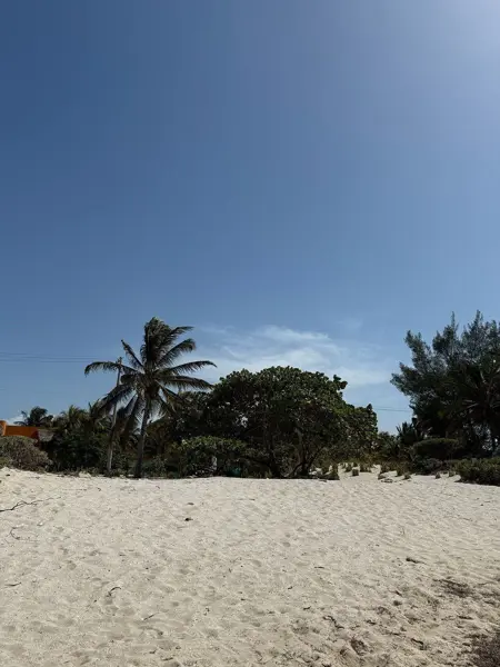 Terreno en venta en San Crisanto, Sinanché — foto 3 de 11