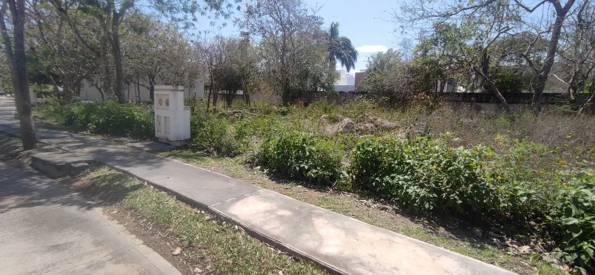 Terreno en venta en Parque Central, Mérida — foto 1 de 14