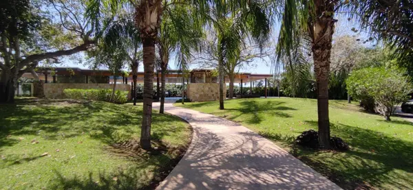 Terreno en venta en Parque Central, Mérida — foto 3 de 14
