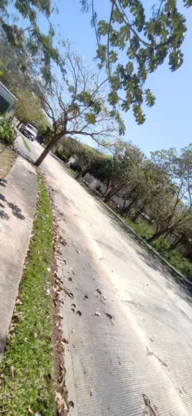 Terreno en venta en Parque Central, Mérida — foto 3 de 15