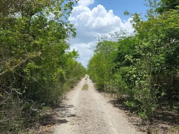 Terreno en venta en Dzidzilche, Mérida — foto 2 de 7