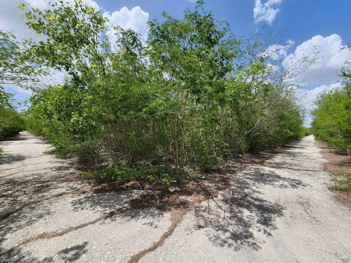 Terreno en venta en Dzidzilche, Mérida — foto 1 de 7