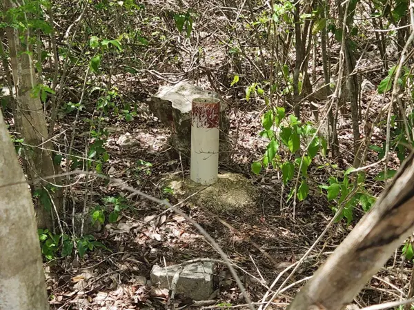 Terreno en venta en Dzidzilche, Mérida — foto 3 de 7
