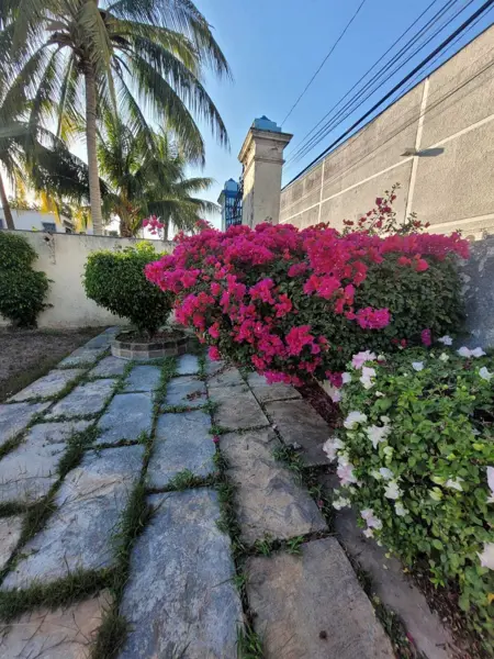 Casa en venta en Merida Centro, Mérida — foto 3 de 50