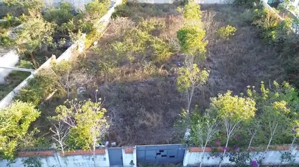 Terreno en renta en Dzitya, Mérida — foto 2 de 9