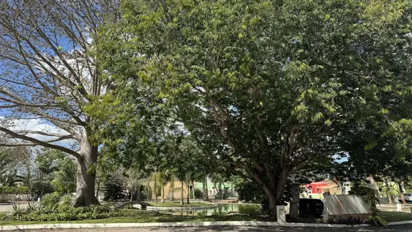 Terreno en venta en Conkal, Conkal — foto 3 de 12
