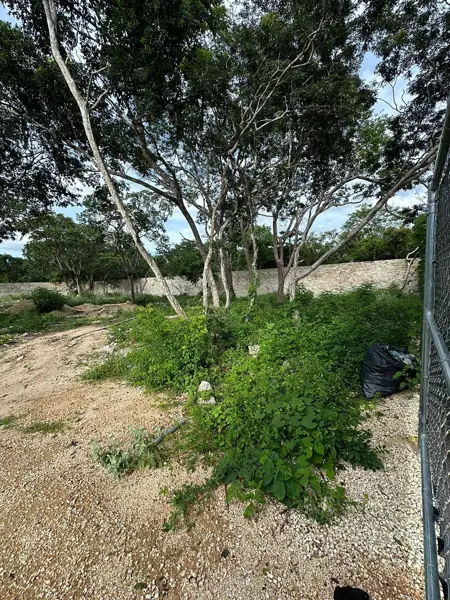 Terreno en venta en Temozon Norte, Mérida — foto 2 de 11
