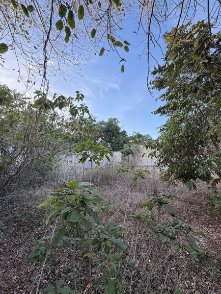 Casa en venta en Merida Centro, Mérida — foto 3 de 15