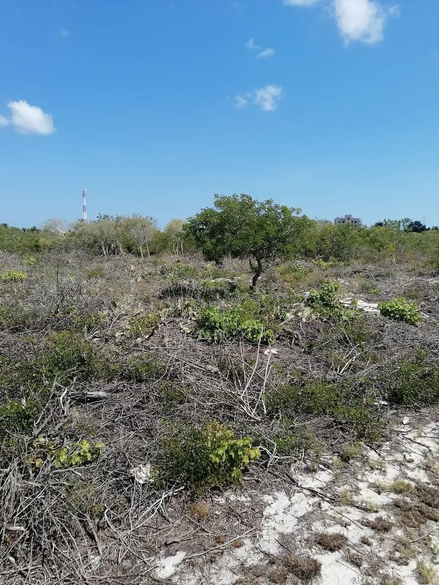 Terreno en venta en Chicxulub Puerto, Progreso — foto 1 de 12