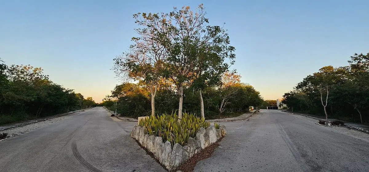 Terreno en venta en Dzidzilche, Mérida — foto 1 de 21